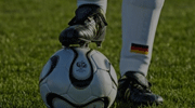 04月27日 德篮甲 中央德国vs海德堡电视直播-懂球直播